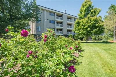 255 North Rd #158 1