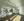 45 Lewis St #310 Floor 3