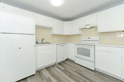 1 Karena Dr #4 1