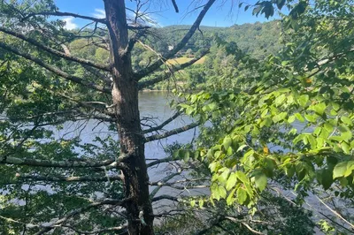 410 River Rd 1