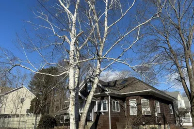 154 Pollard St 1