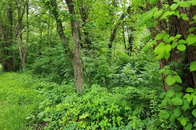 Lot 3.1 Warren Road