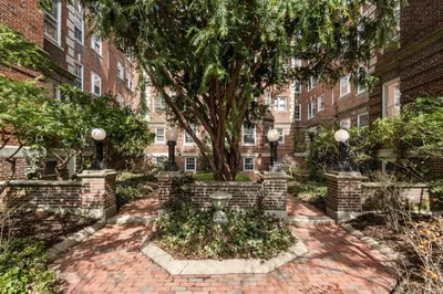 43 Linnaean Street #35A 1