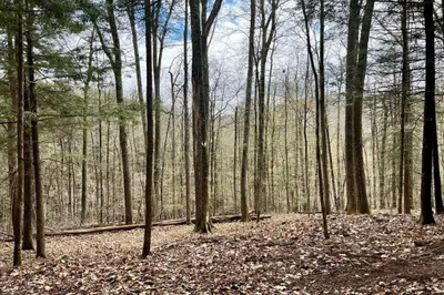 0 Packard Rd