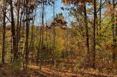 539 Fox Hill Road 1
