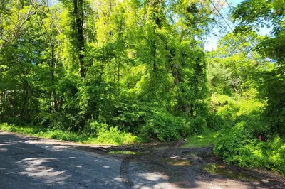 Lot 7 Daniels Rd 1