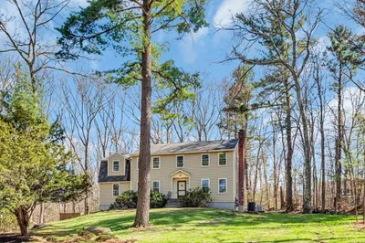 29 Brady Loop