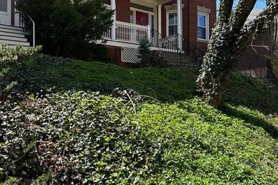 11 Colbourne Cres #1