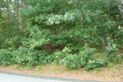 15 Signal Hill Dr 1