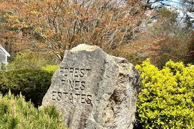 51 Forest Pines
