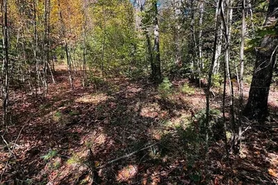 Map 408 39-1 Bullock Road