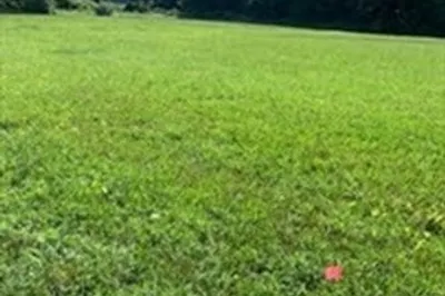 6 Acres Fowler Rd 1