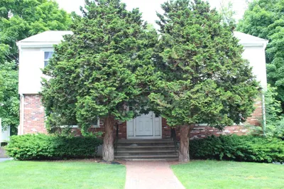 39 Rogers Street #B 1