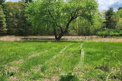 65 Farm Road Lot 6 Rd