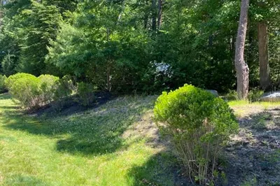 Lot 1 & 2 Laurelwood Dr 1