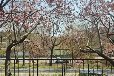 77 Pond Ave #507