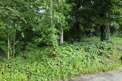 0 Middlesex