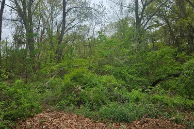 40 Book Street 1