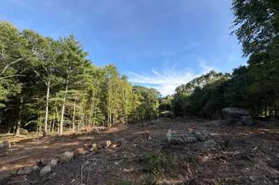 0 Rocky Woods 1
