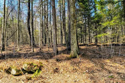 Lot 16/11 Porcupine Courts 1