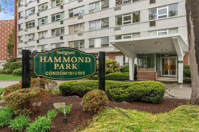 10 Hammond Pond Parkway #305 1