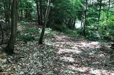 0 Fox Hill Rd