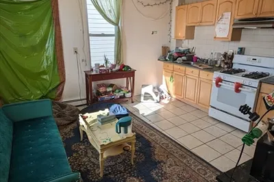 50 Fisher Ave #3