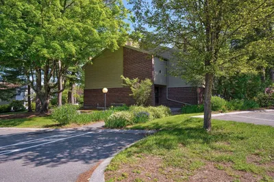 236 Brown Bear Crossing #236 1