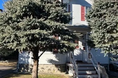 37 Hibbert St #1