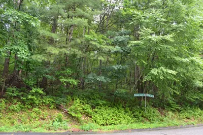 Lot 8 Monson Turnpike Rd 1