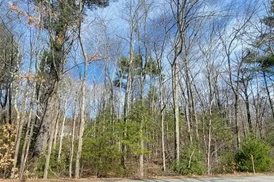 38-40 Hamilton Rd