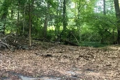 10 Pequot Rd 1