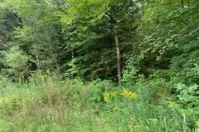 0 North Blandford