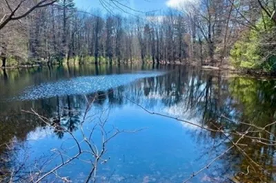 279 Holland Rd