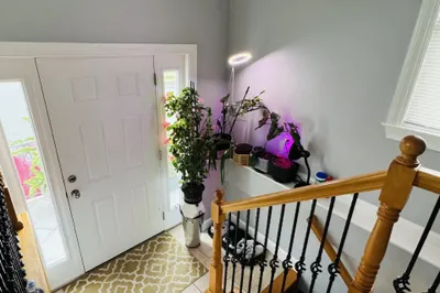 10 Milano Ave #1 1