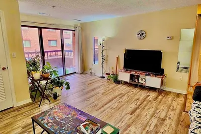 3920 Mystic Valley Pkwy #917