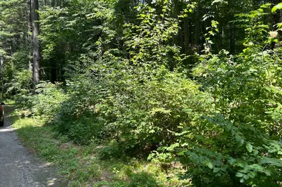 39 W Carr - Lot