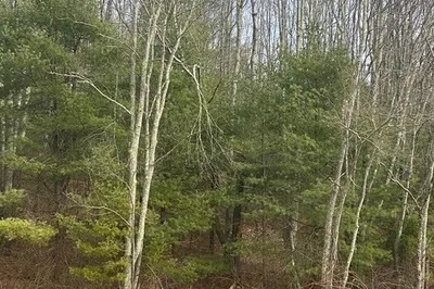 65 Birch Hill Rd 1
