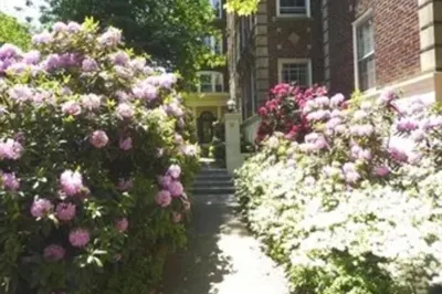 32 Shepard St #1