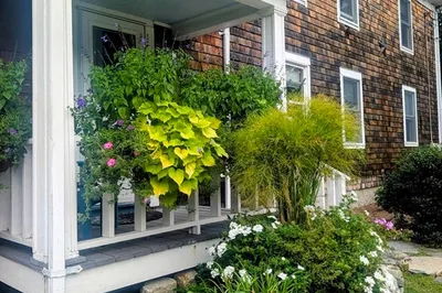 61b N Main St #2