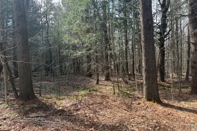 0 Island Acres 1