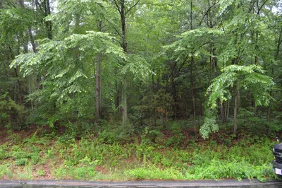 Lot 5 Babcock Tavern Rd 1