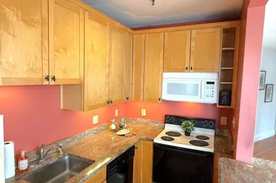 374 Chestnut Hill Ave #Unit 24