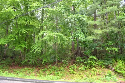 24 Monson Turnpike Rd 1