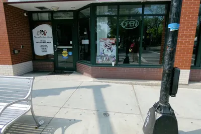 329 Centre Street #C-6 1