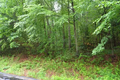34 Coffey Hill Rd 1