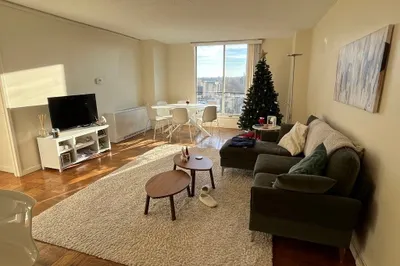 77 Pond Ave #1108