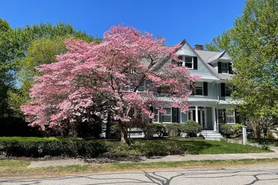 21 Waterston Rd 1
