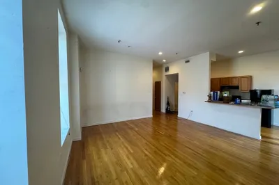 176 W. Springfield St #2