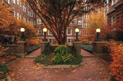 43 Linnaean Street #42A